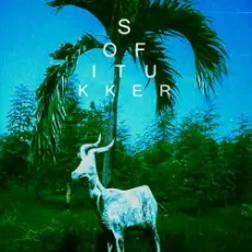 Обложка: Sofi Tukker - Drinkee (Mahmut Orhan Remix)