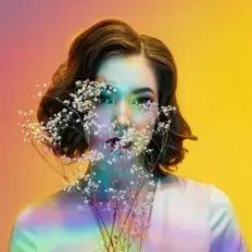 Обложка: Стереополина - Болото