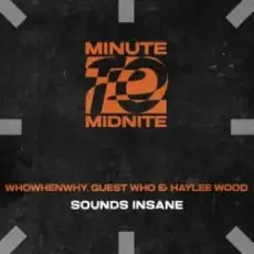 Обложка: WHOWHENWHY, Guest Who & Haylee Wood - Sounds Insane (Extended Mix)