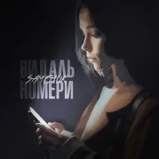 Обложка: SAMCHUK – ВИДАЛЬ НОМЕРИ