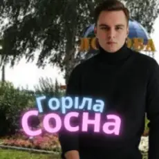 Обложка: Friends in Kharkiv - Горіла сосна