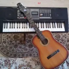 Обложка: EiZ - Shake lone Guitarist