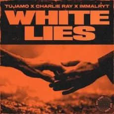 Обложка: Tujamo & Charlie Ray & imallryt - White Lies