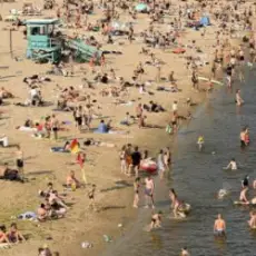 Обложка: Нікіта Кісельов - Чайка