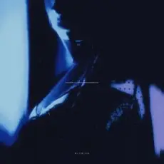 Обложка: shxpe - elysian