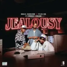 Обложка: Khalil Harrison & Tyler ICU - Jealousy (feat. Leemckrazy & Ceeka RSA)