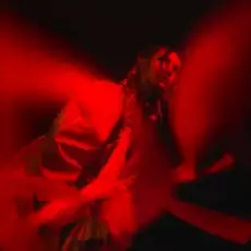 Обложка: ТОРІЯ - Рута